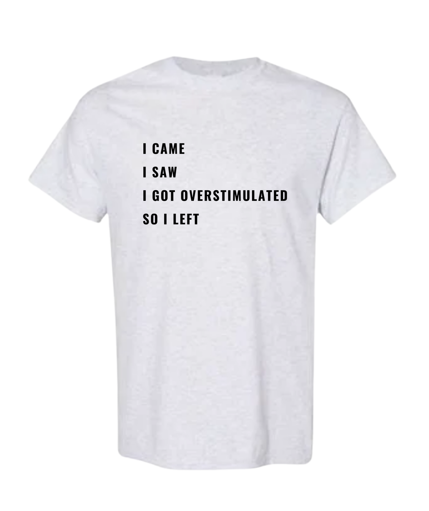 I Came, I Saw, I Got Overstimulated T-Shirt (Ash)