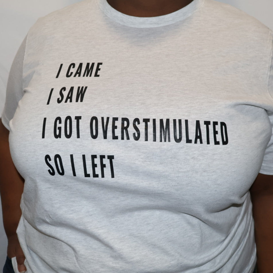I Came, I saw T-Shirt (Ash)