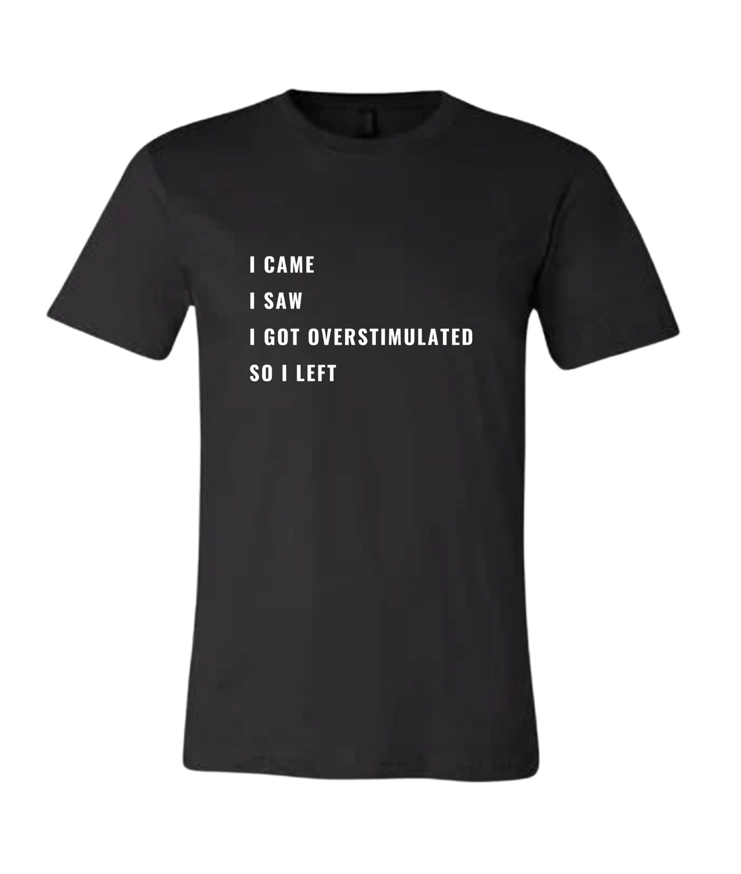 I Came, I Saw, I Got Overstimulated T-Shirt (Black)