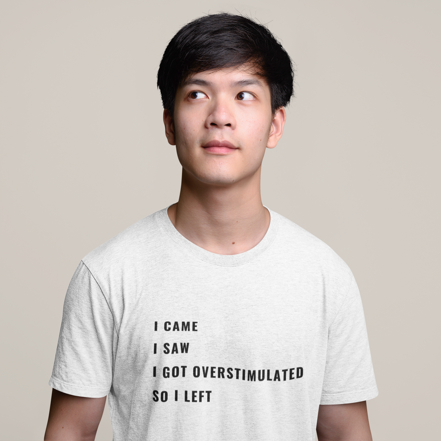 I Came, I Saw, I Got Overstimulated T-Shirt (Ash)